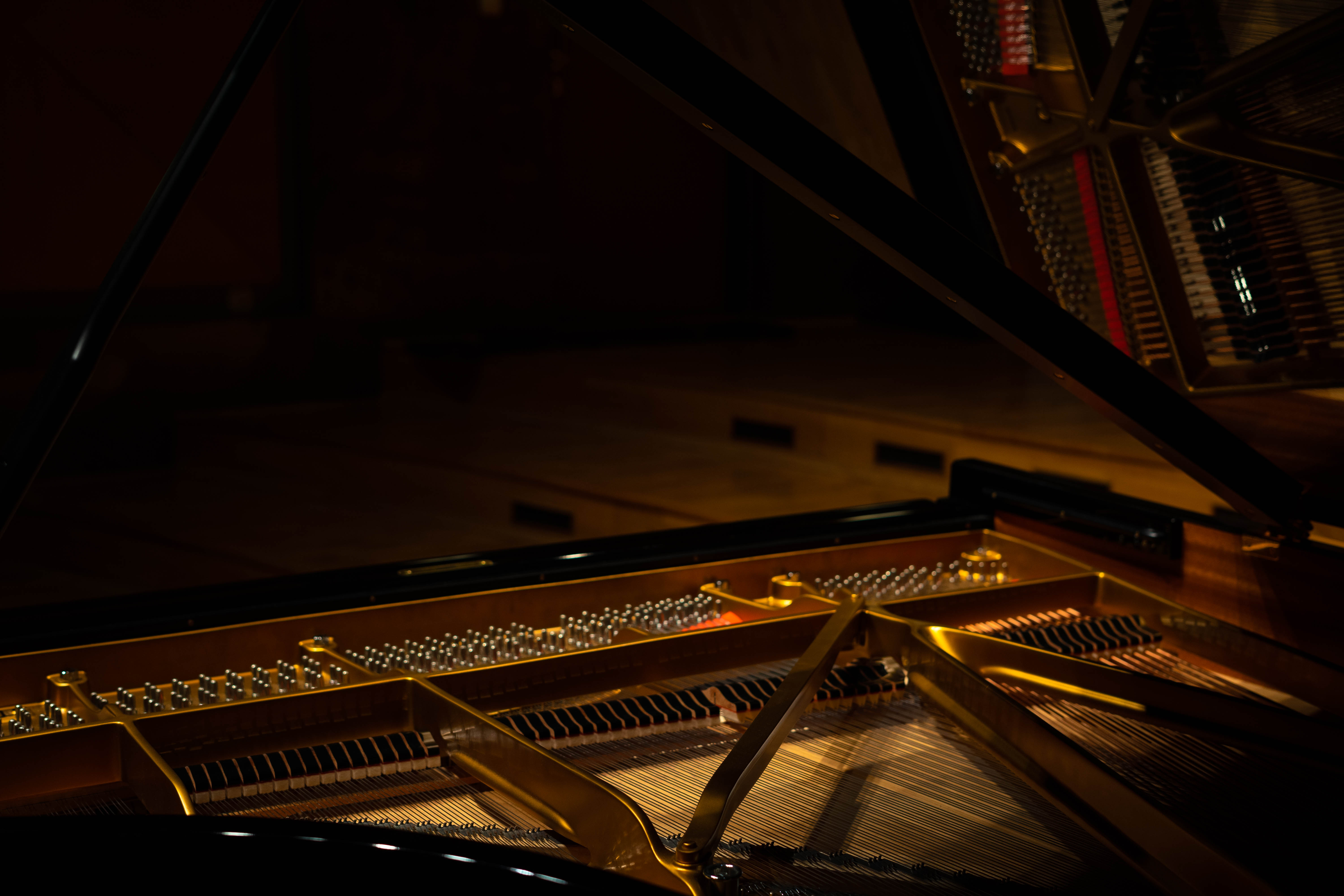 Liszt: Wilde Jagd Etude